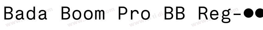 Bada Boom Pro BB Reg字体转换